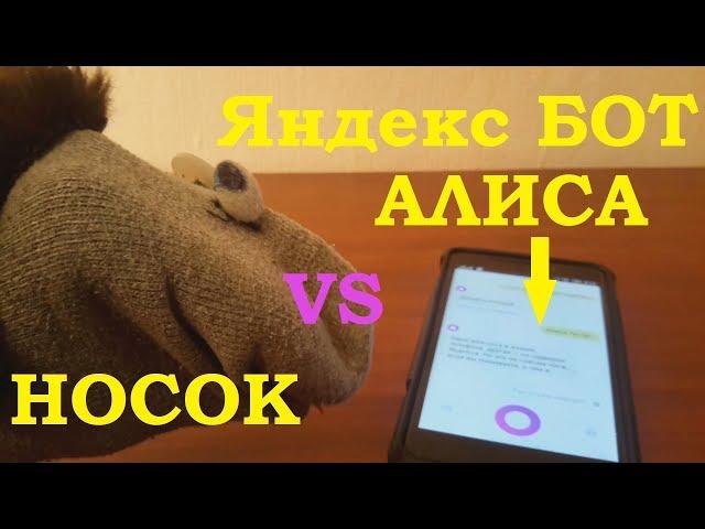 ЯНДЕКС БОТ АЛИСА . Яндекс Алиса. Бот Алиса - НОСОК ФИЛОСОФ