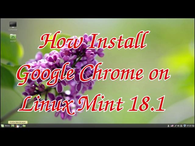 How Install Google Chrome on Linux Mint 18.1