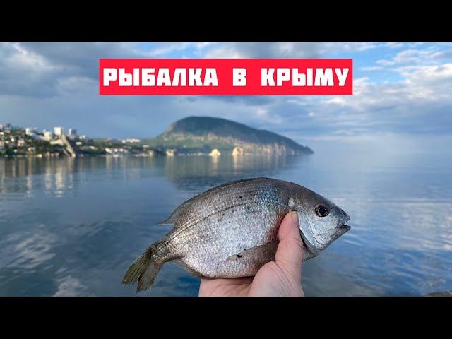 Рыбалка в Крыму на море с берега, Гурзуф, май 2022