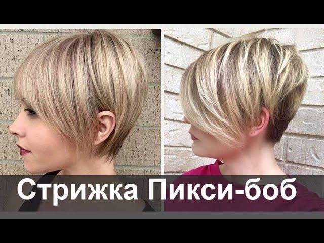 Pixie bob haircut