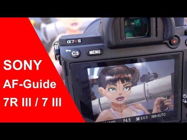 Sony A7III / A7RIII Autofokus Guide - Anleitung (deutsch)