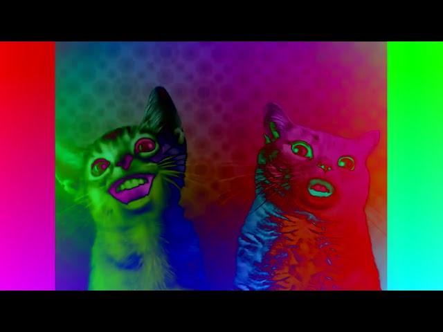 Pr‎eview 2 Numa Cat effects [Sp‎onsored by Previe‎w 2 e‎ffects]