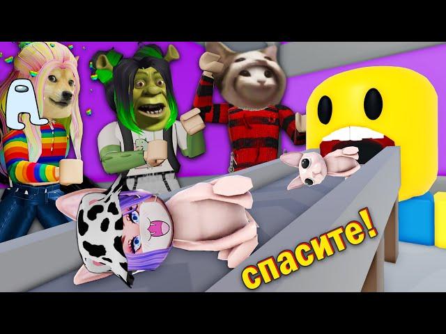 СТРОИМ ТАЙКУН МЕМОВ В РОБЛОКСЕ! Roblox Meme Tycoon