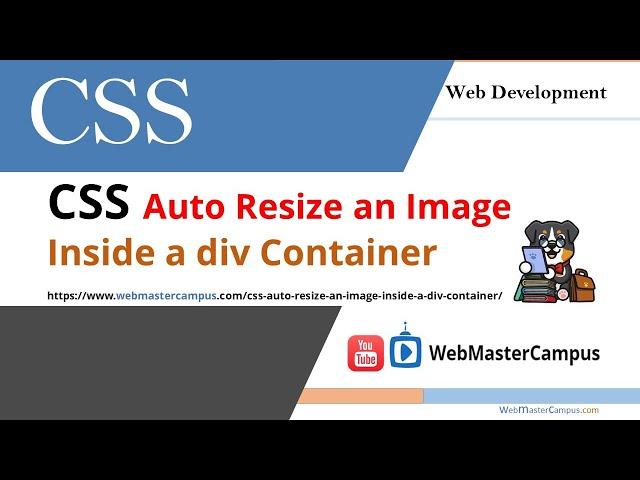 CSS Auto Resize an Image Inside a Div Container