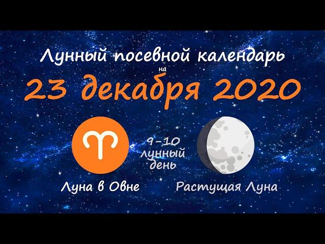 [23 декабря 2020] Лунный посевной календарь огородника-садовода | Флористикс Инфо