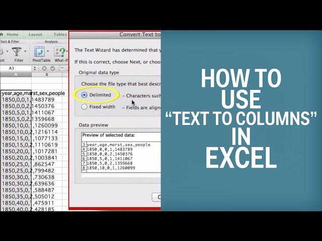 How To Use "Text To Columns" In Excel