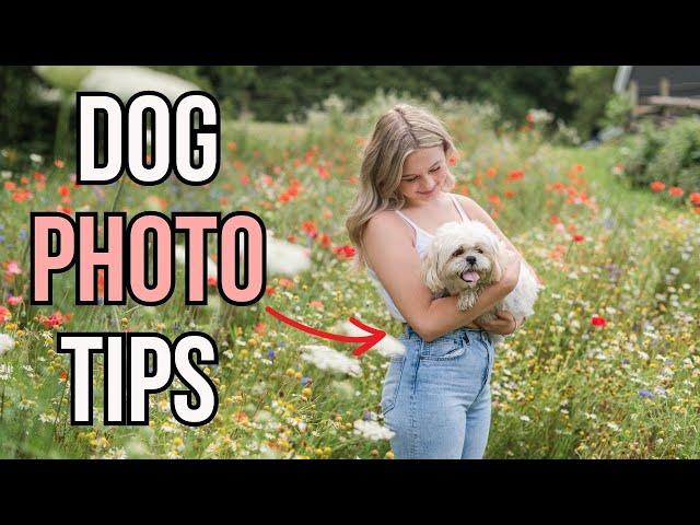 How to photograph your dog