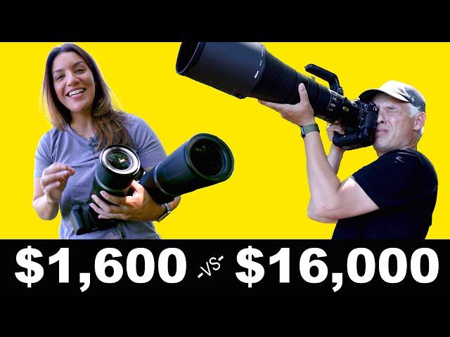 The BEST wildlife lenses! Canon 600 & 800mm f11 review with Canon R5!