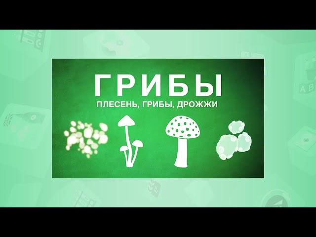 6 класс. Естествознание. Многообразие живых организмов. 21.04.2020.