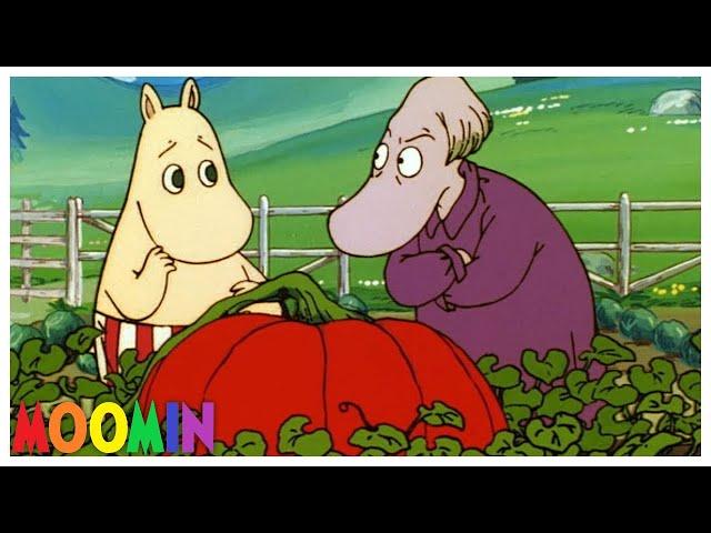 Moomin Nepali "Thulo farsi ( ठुलो फर्सी )"full Episode | Moomin Cartoon  In Nepali version