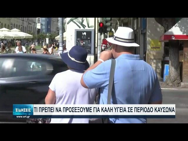 Οι συνέπειες της ραγδαίας επιδείνωσης των κλιματικών συνθηκών μας επηρεάζουν άμεσα| 29/07/2021 | ΕΡΤ