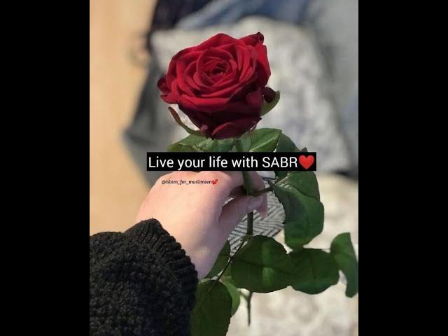 Live life with SABR #islamiclife #islamicstatus #world