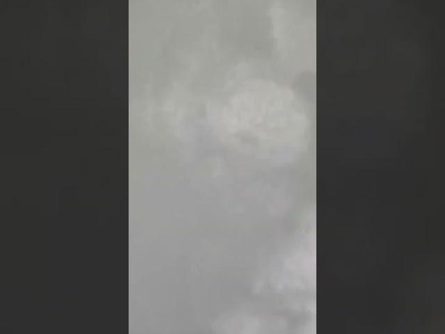 Где живёт мастер-фломастер