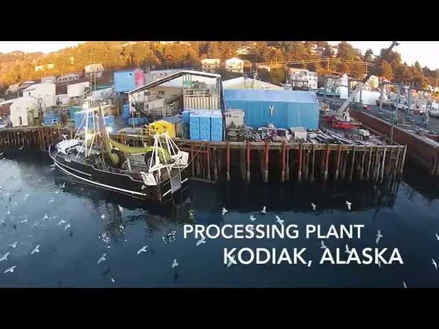 Global Seafoods | Watch  how Globalseafoods produce their seafood