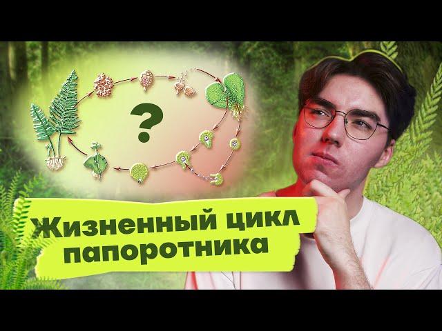 Все о жизненном цикле папоротника для ОГЭ | Биология 2023 Умскул