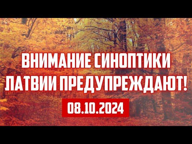 ВНИМАНИЕ СИНОПТИКИ ЛАТВИИ ПРЕДУПРЕЖДАЮТ! | 08.10.2024 | КРИМИНАЛЬНАЯ ЛАТВИЯ