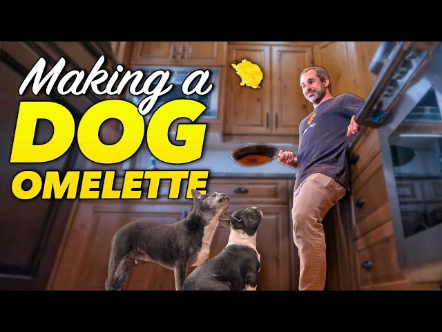 Cooking breakfast omelettes for two hungry dogs