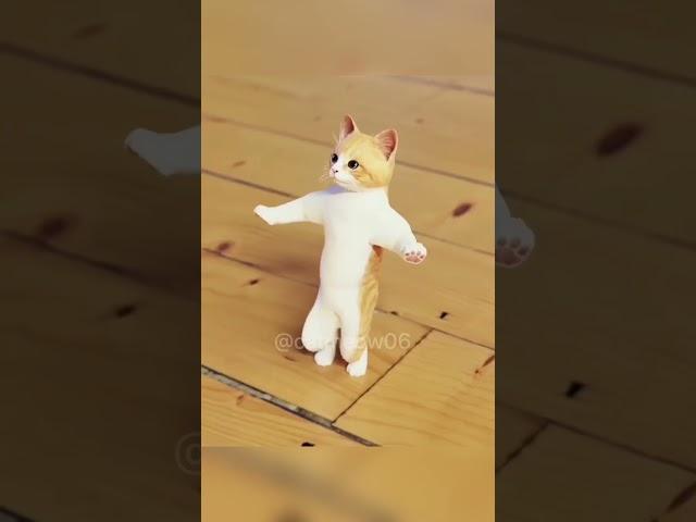 cat dance | #shorts #cat #viral #trending