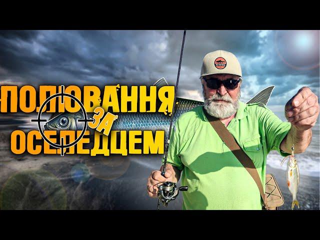 Полювання на оселедця на дикому пляжі. На що клює дніпровий оселедець?