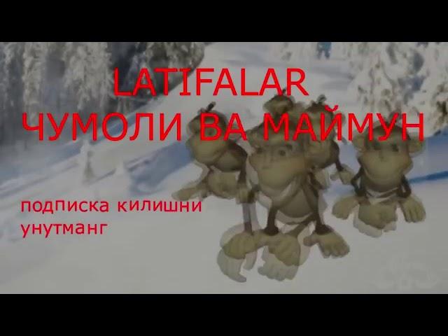 Узбек латифа маймун ва чумоли