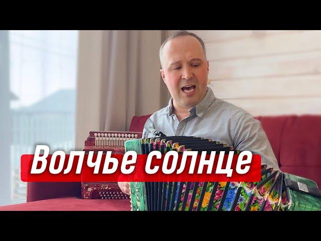 Мурашки по коже! Волчье солнце песня – автор Виталий Аксёнов | Гармонист Иван Разумов