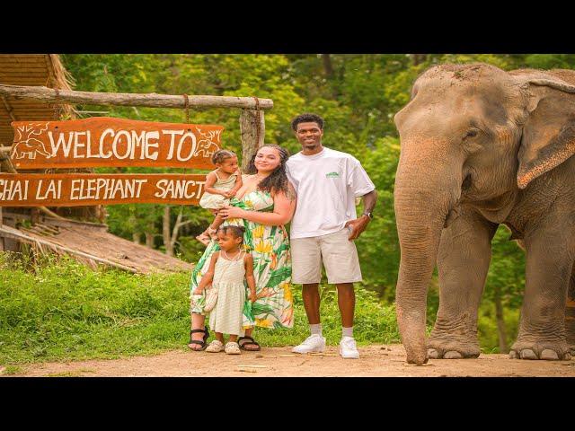 STAYING AT An Elephants HOTEL In A Jungle!!! **FEEDING ELEPHANTS**