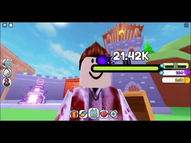 I play a very good Pet Simulator X fake - Roblox -