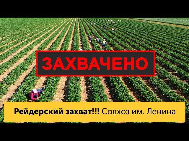 Прочь от Совхоза им. Ленина! Рейдерский захват предприятия