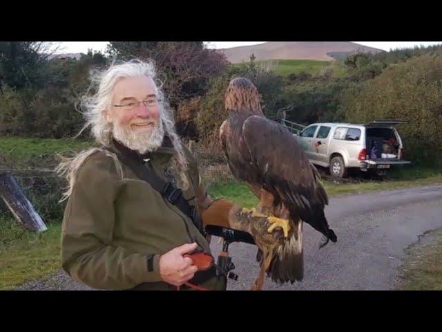 Falconry, a living human heritage