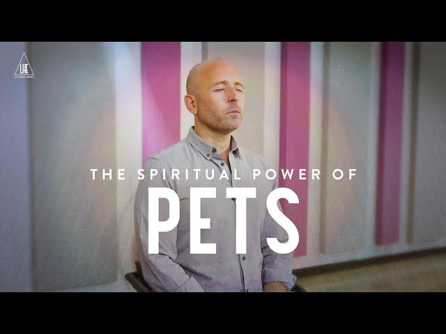 The Spiritual Power of Pets    