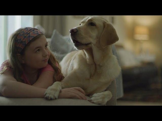 A Dog I'm Not | Dogs Inc