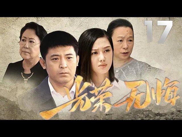 孫濤、賈妮主演電視劇《光榮無悔》EP17：白坡任鄉黨委書記兼鄉長王天生上任後經歷並處理「小商品市場」違法建設、女孩裝瘋告狀、煤礦「采空區」村民上訪、宅基地糾紛、作局謀劃陷害鄉長「嫖娼」等重大事件