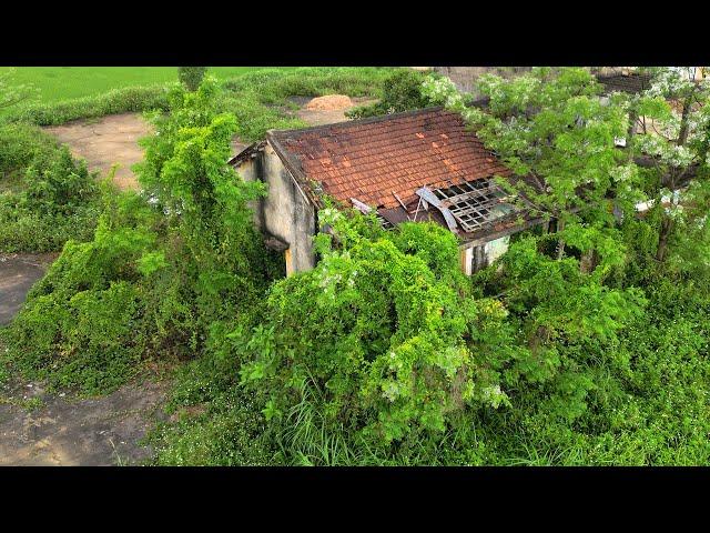 Complete Transformation Clean up ABANDONED HOUSE cut overgrown grass clean up garden AMAZING RESULTS