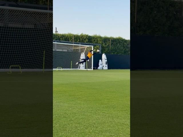 Two big saves from Tom Glover and Joe Gauci  #Socceroos #save #football #shorts