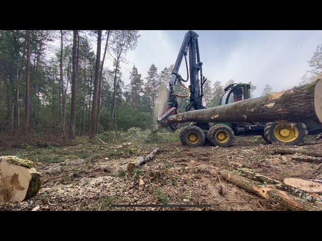 Сложная делянка после ремонта,вахта получилась не очень ..