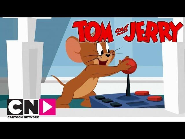 Tom & Jerry Show I Jerry İş Peşinde I Cartoon Network Türkiye