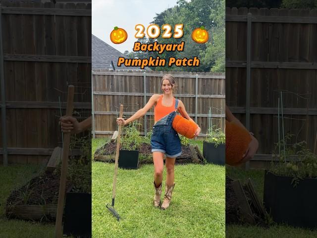 2025 BACKYARD PUMPKIN PATCH PLANTED #pumpkinpatch #pumpkinseeds #pumpkins