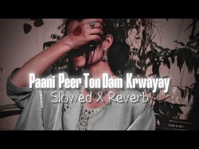 Pani Peer Tu Dam Karwyee (slowed & reverb) | Saraiki song | Dr Reverb