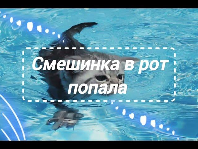 СМЕШНЫЕ ВИДЕО, ПОТБОРКА ИЗ ТИК ТОКА