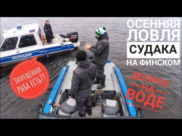 Заглянули под воду. Осенняя ловля судака. Рыбалка финский залив