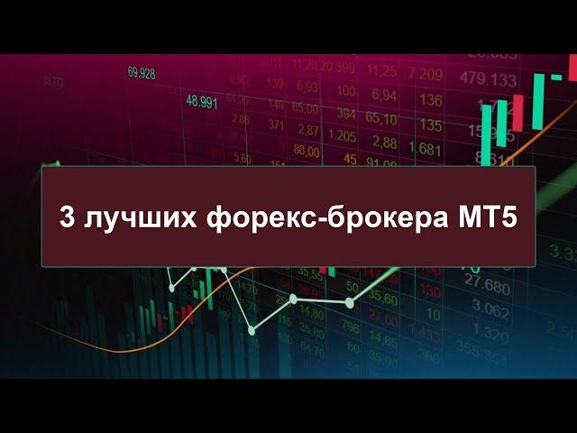 Форекс | 3 лучших форекс-брокера MT5 2023 | Топ-3 рейтинга форекс-брокеров