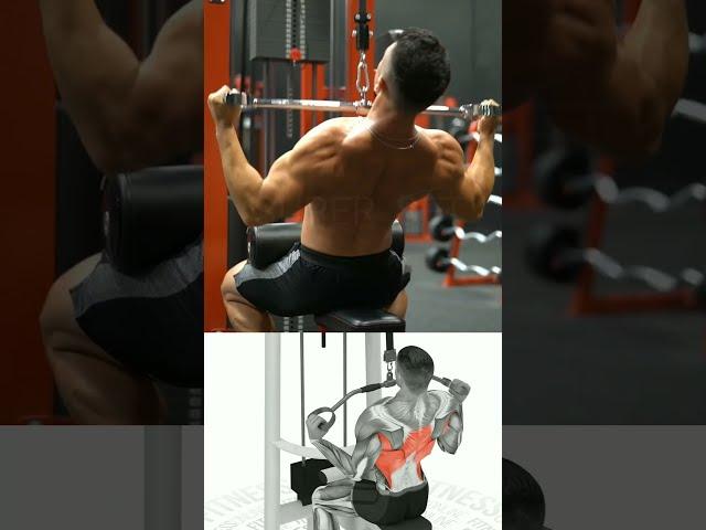 the best back exercises 