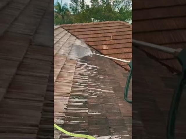 Two story roof cleaning