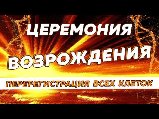 Запуск новой жизненной программы. Секретные коды для начала новой СЧАСТЛИВОЙ жизни. #счастье