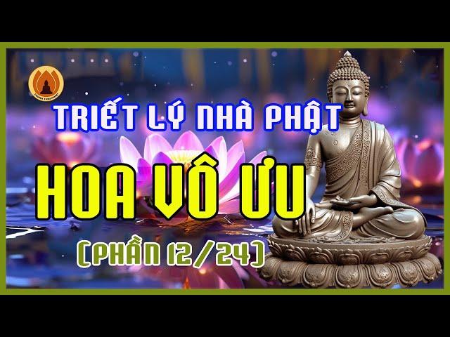 Hoa Vô Ưu (PHẦN 12/24) - Những tuyệt phẩm mang triết lý nhà Phật