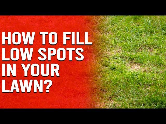 How to Fill Low Spots in Your Lawn - How to Level a Lawn