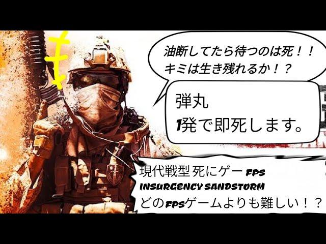 リアル現代戦型 ハードコア系 FPS インサージェンシー・サンドストーム/INSURGENCY SANDSTORM オフレコVer