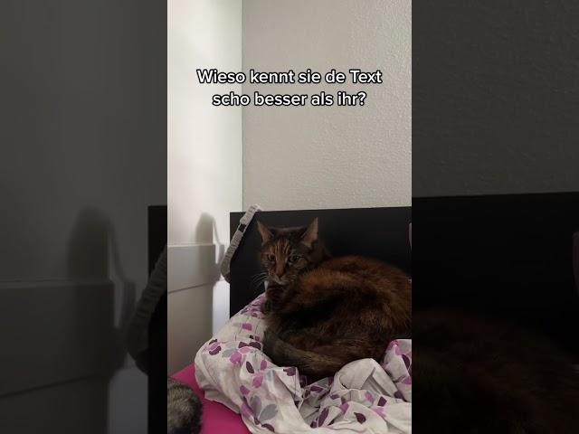 Wenn deine Katze den Text besser kennt als du