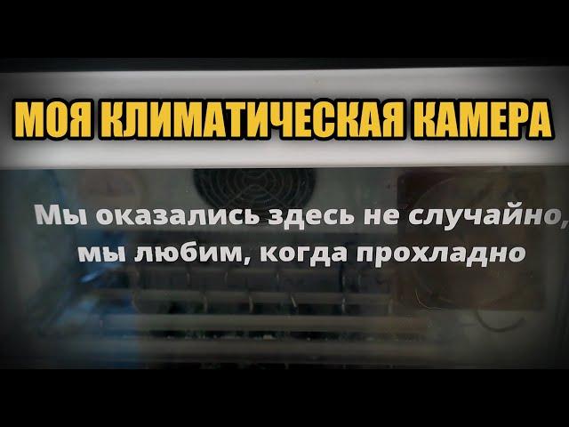 МОЯ КЛИМАТИЧЕСКАЯ КАМЕРА