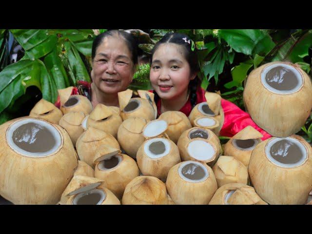 Making Tiny Coconut Jelly| Huynh Nhu Vlogs